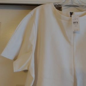 Loft Faux Leather Sleeve Top